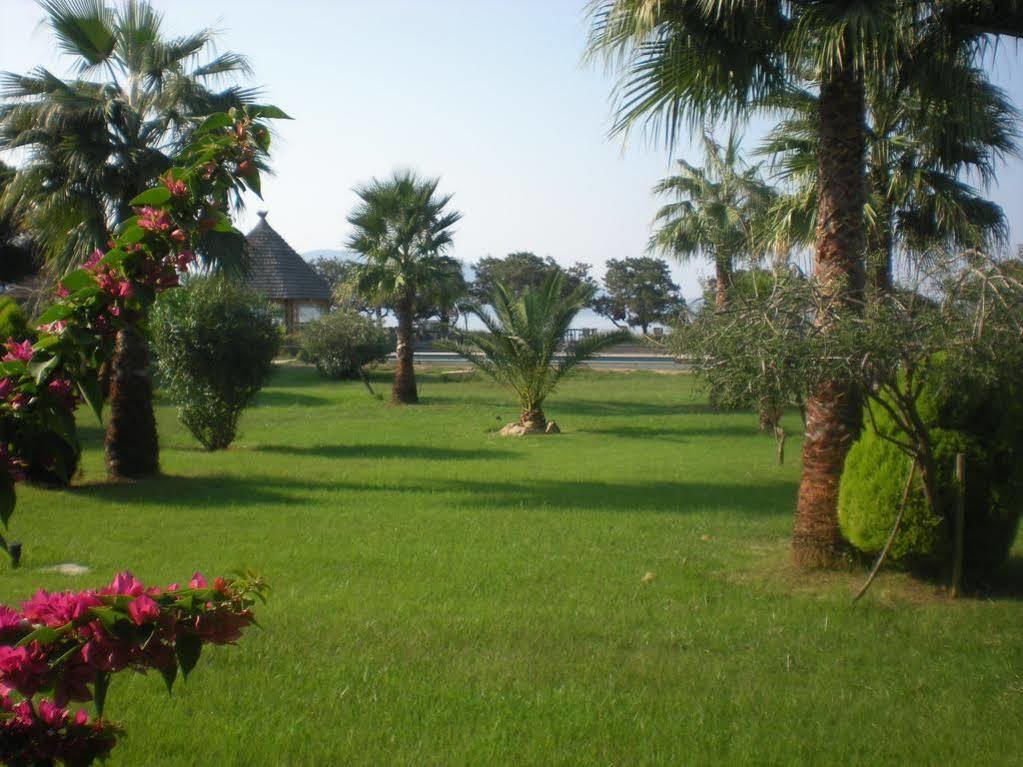 Hotel Le Ruesco Olmeto  Exterior photo